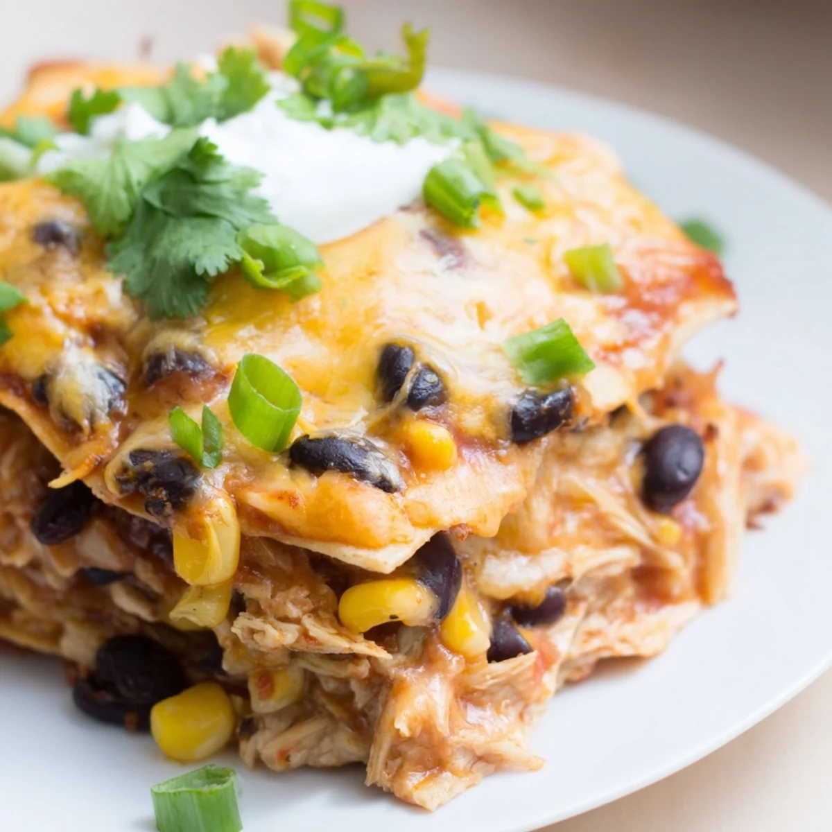 A warm slice reveals layers of chicken, beans, and corn tortillas.